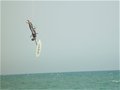 DSC00751.jpg