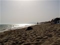 P1010073.jpg